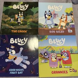 Bluey Children’s Books