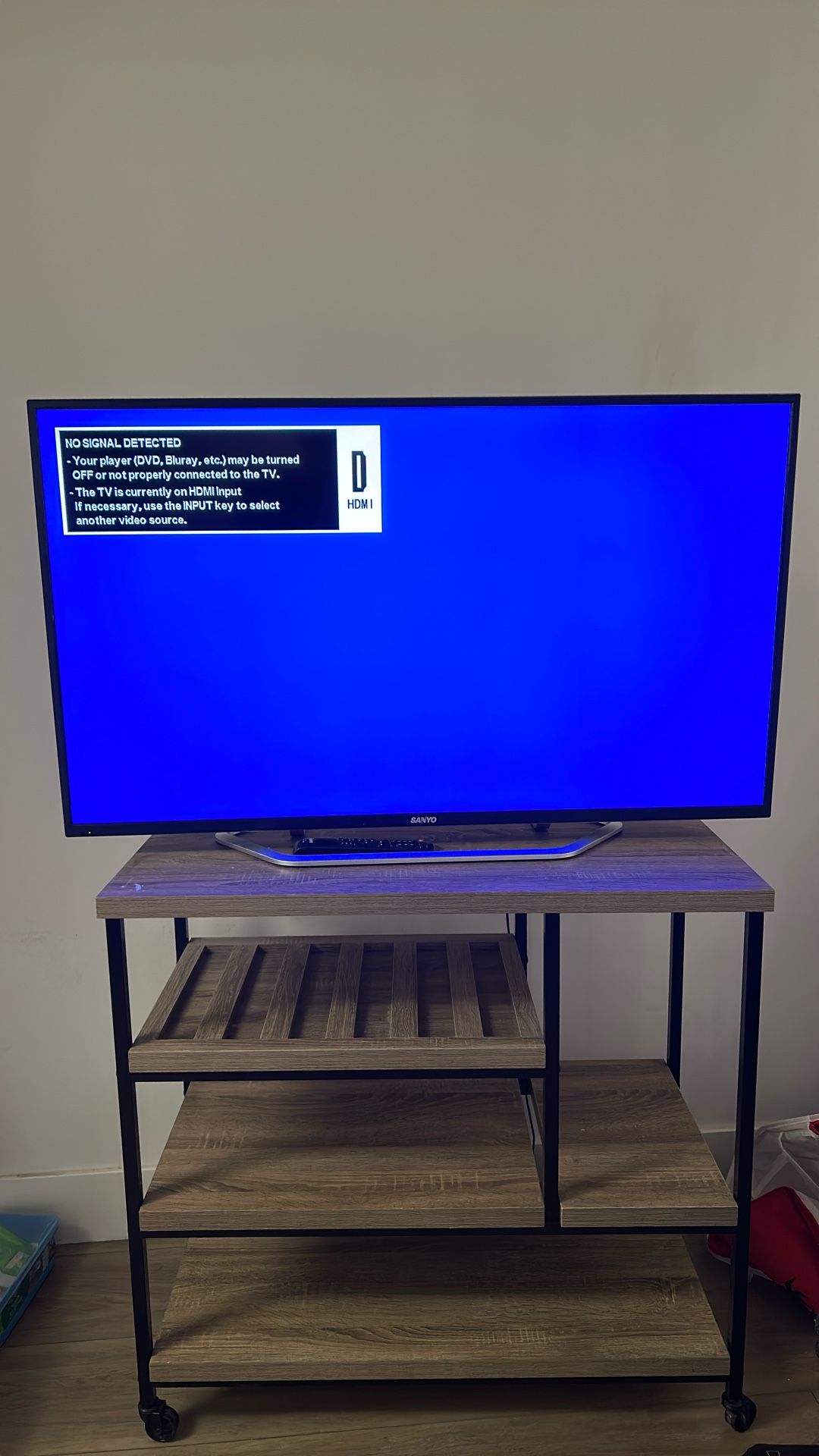 Sanyo 48 Inch LED TV and Rolling Stand
