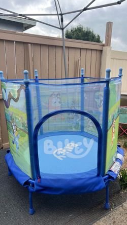 Bluey trampoline