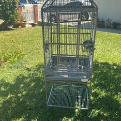 Bird Cage 