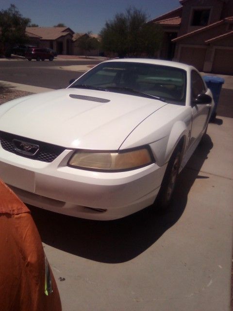 MUSTANG
