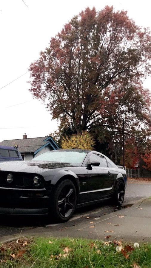 2005 Ford Mustang