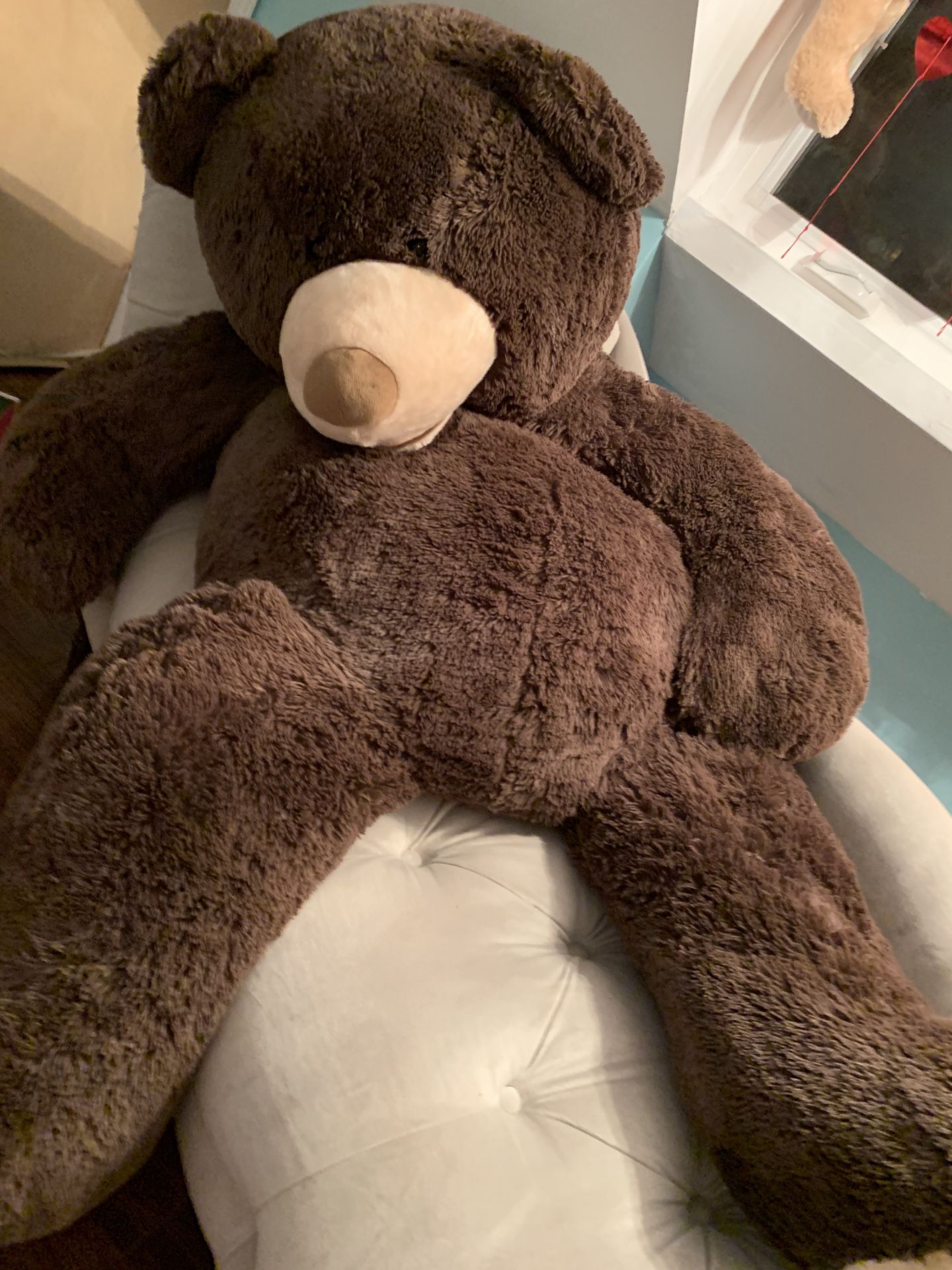 Big teddy bear 5feet NEED GONE BY MONDAY