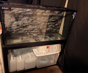 55 gallon fish tank with stand