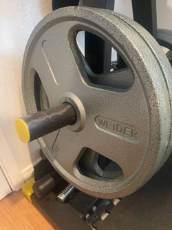 Two 45 lbs Weider  weight plates