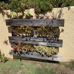Wood Pallet Planter 🌿