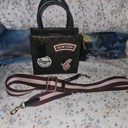  COACH CE593 Mini Cally Crossbody In Signature Canvas With Ski Patches