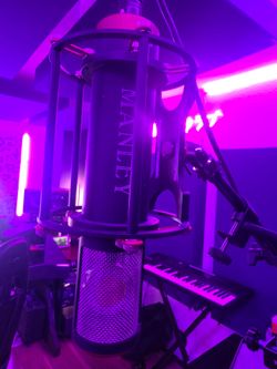 Manley ref C pro mic