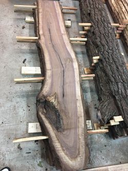 Walnut slabs