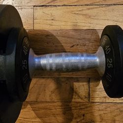Bcg Dumbbell  Locking Wieghts