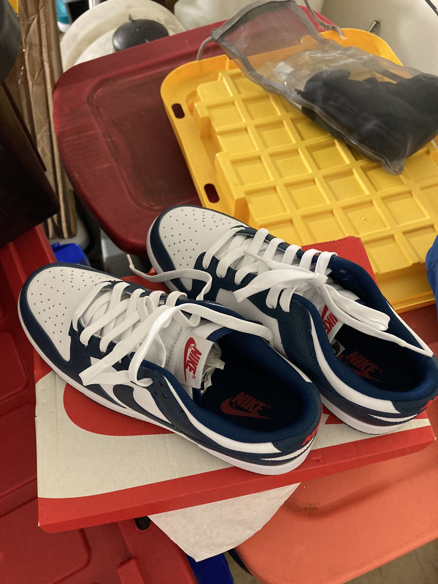 Nike Dunks