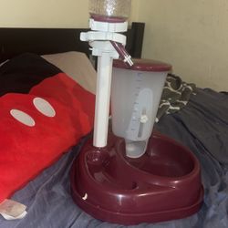 Dog Or Cat Feeder Water And Food 