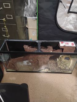 75 gallon tarrarium 13x12.5x48"
