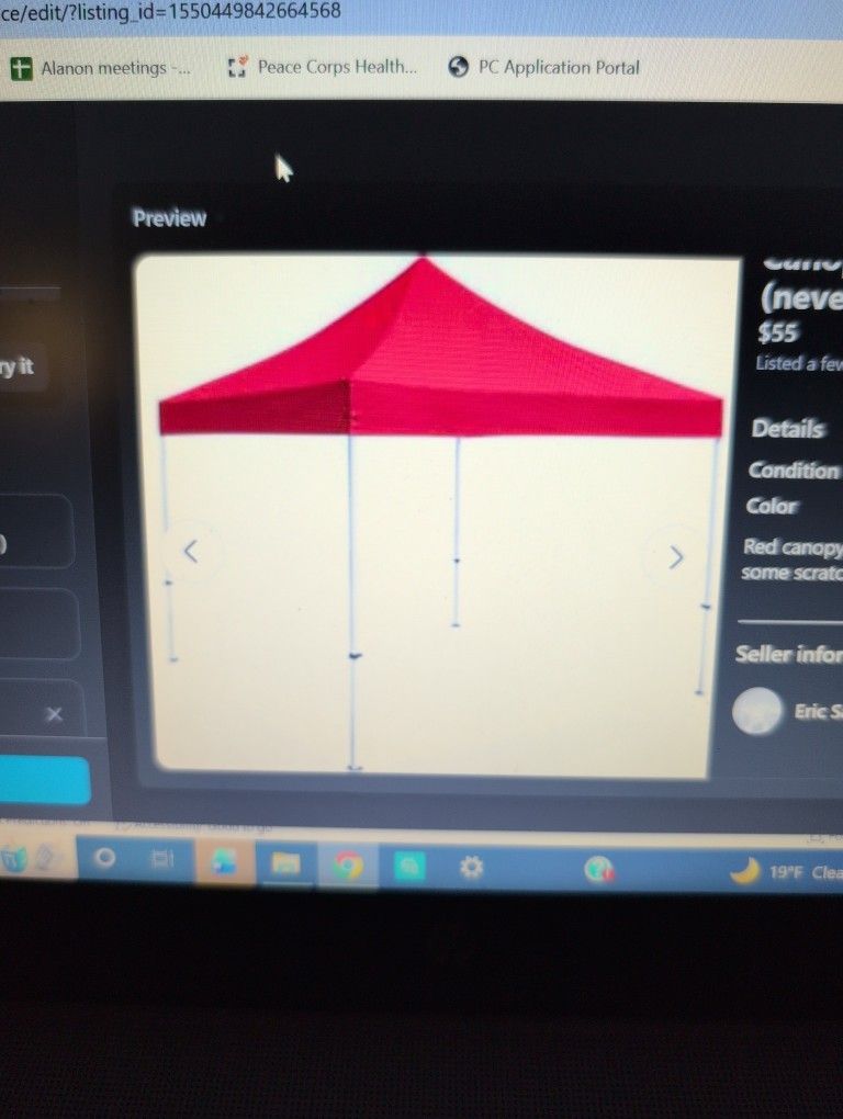 Canopy 10ft X 10ft Never Used