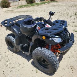 Black Kayo Bull 180 , 2025