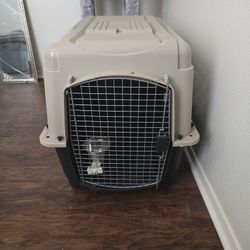 Dog Kennel 