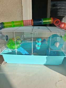 Teal hamster cage
