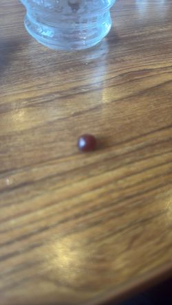 Worlds smallest grape