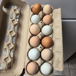 Organic Eggs 