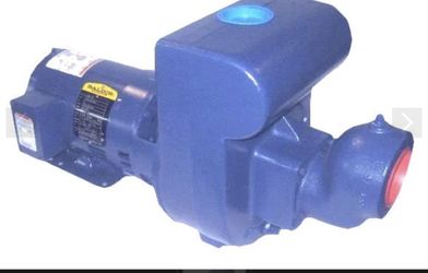 Berkeley Water Pump