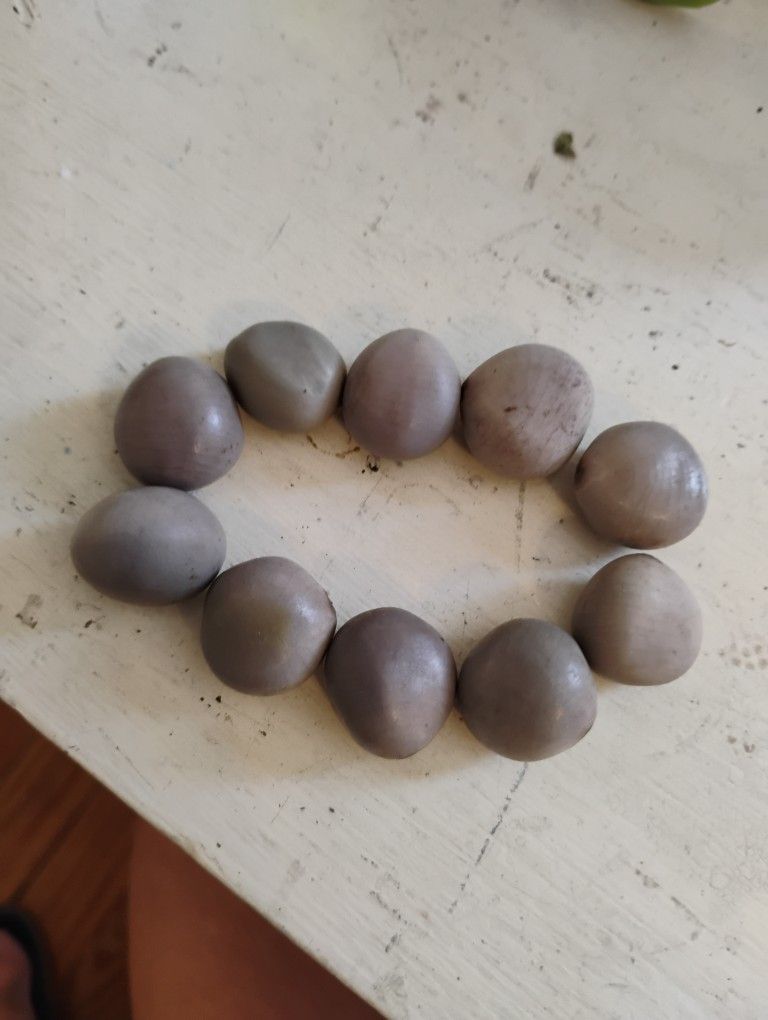 Sea Beans