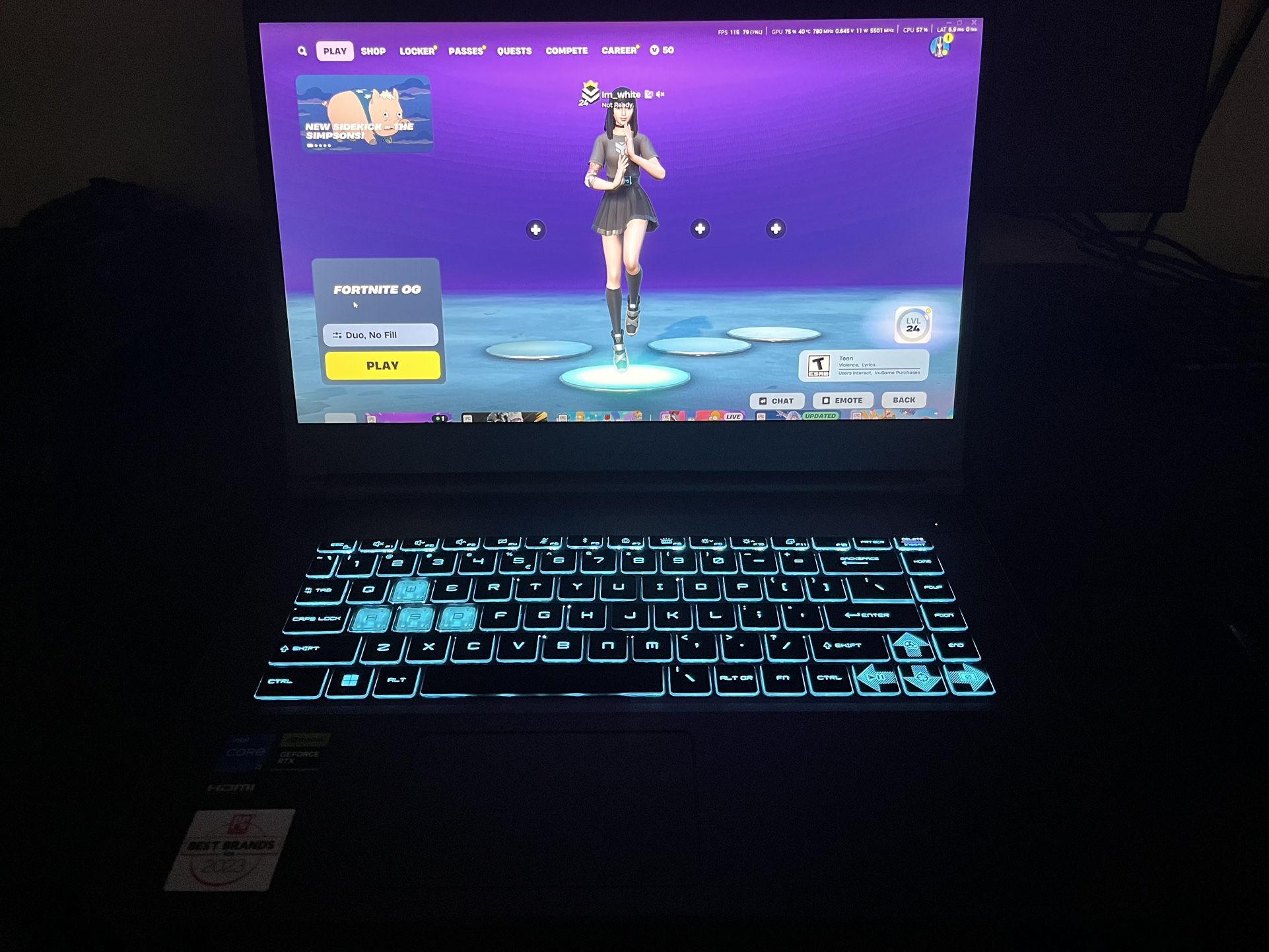 Gaming Laptop Pc (Msi Thin 15 B13VE)