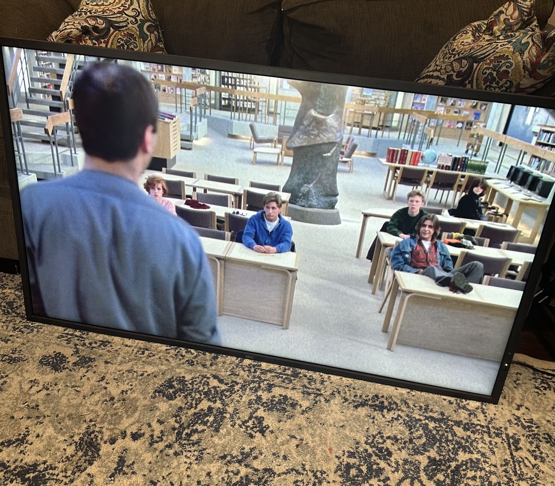 55” Computer Monitor