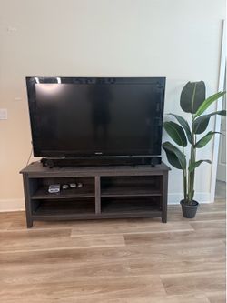 TV and Stand (will sell separately)