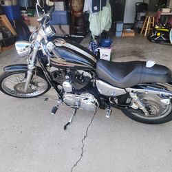 2004 HD Sportster XL 1200 Custom 