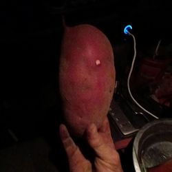 Sweet Potato Japanese