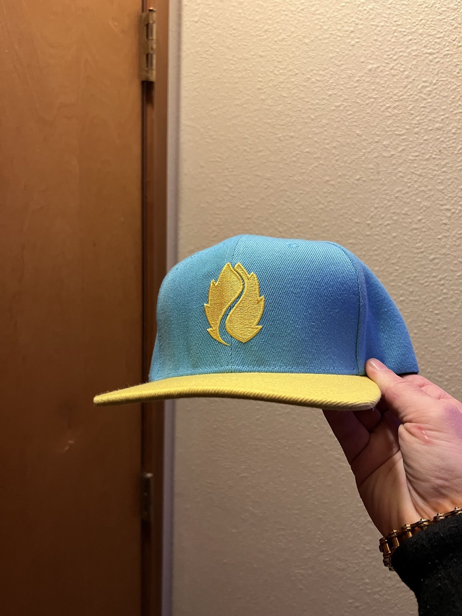 Hop Valley Snapback
