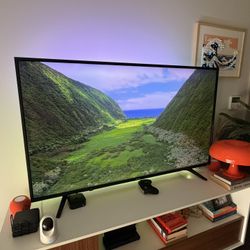 4K 55” Roku TV
