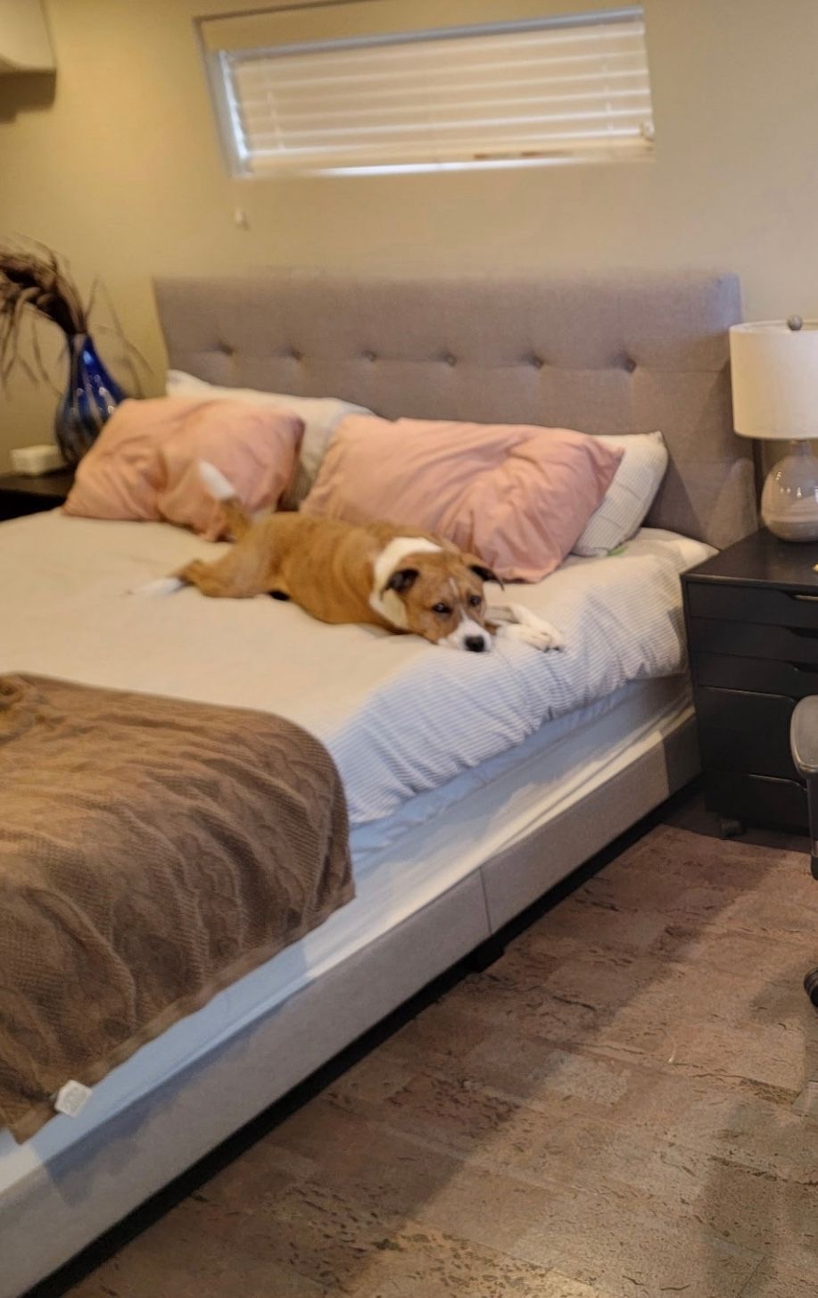 King sized bed frame - FREE