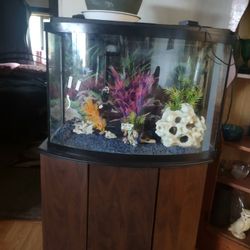 Fish Tank w/ Stand
