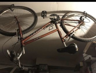 Vintage Trek Bicycle