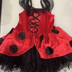 Lady Bug 