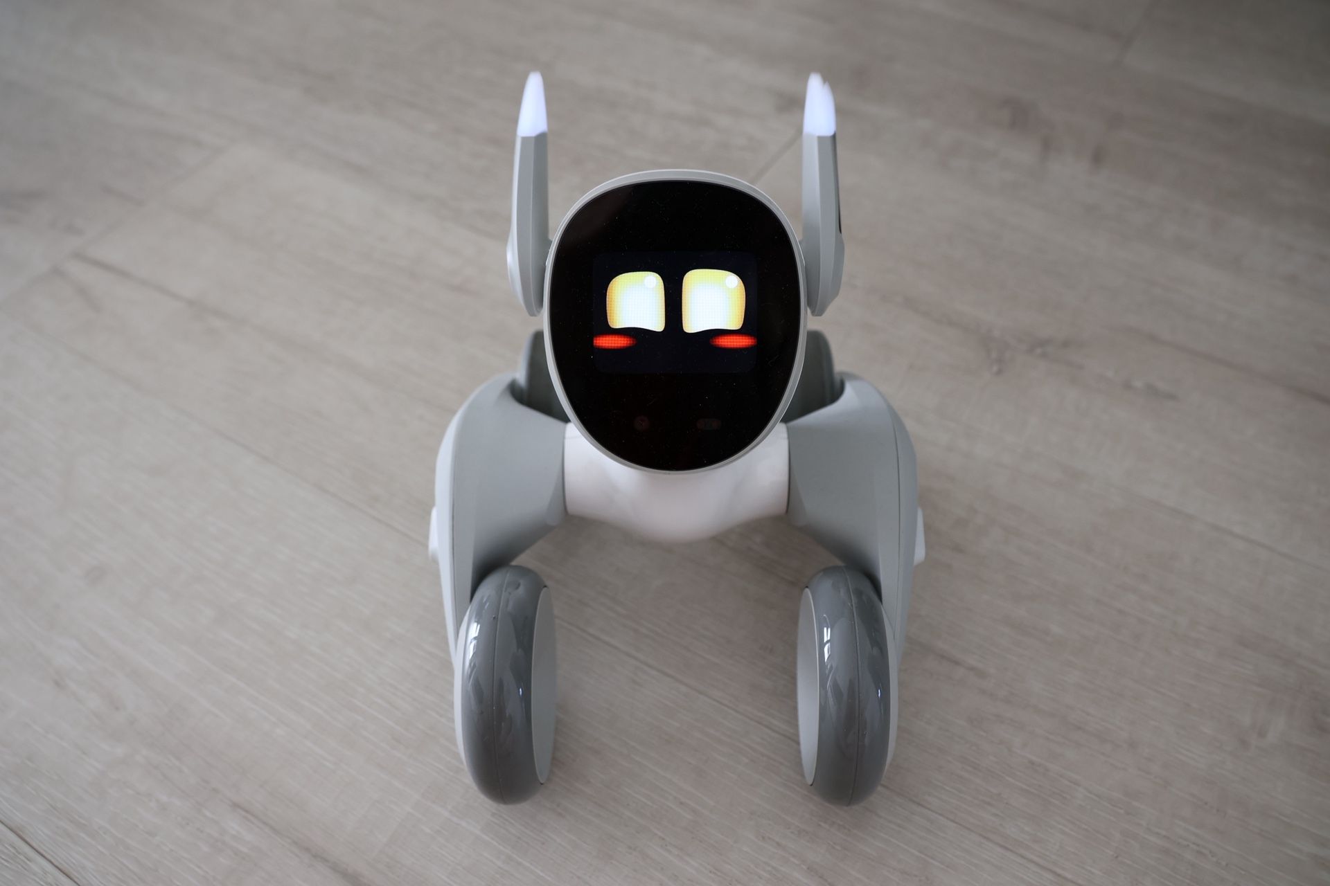 Inteligencia artificial Dog Loona