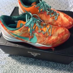 Kobe Bryant Shoes