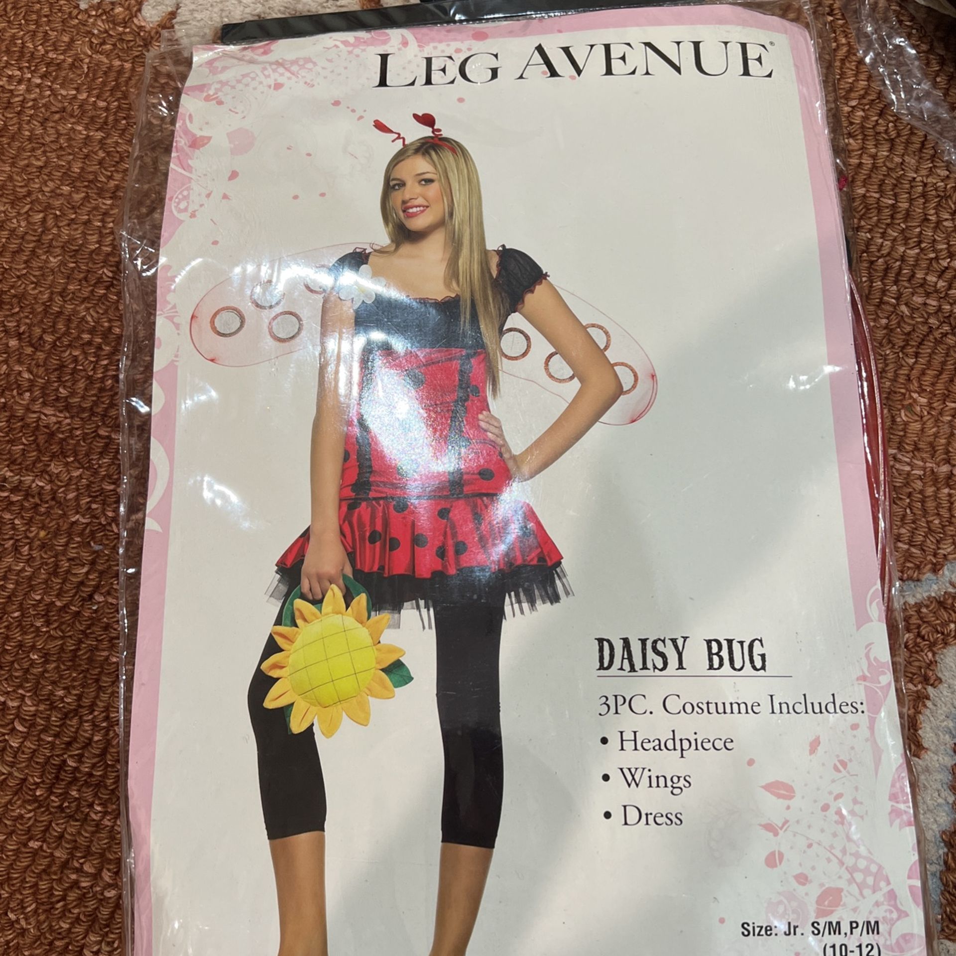 New Daisy Bug