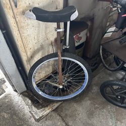 Unicycle