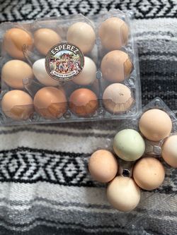 Organic Eggs Huevos de Rancho