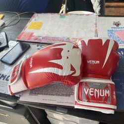 Venimos Challenger 2.0 Boxing Gloves