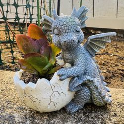 🐉 🔥 🐉 🥚 Dragon Planter w Egg + Succulent Plant 🪴 