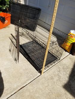 Large Crate Excellent condition