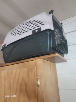 Hard-Sided Pet Travel Carrier Crate