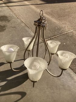 Chandelier/light fixture Like New $20