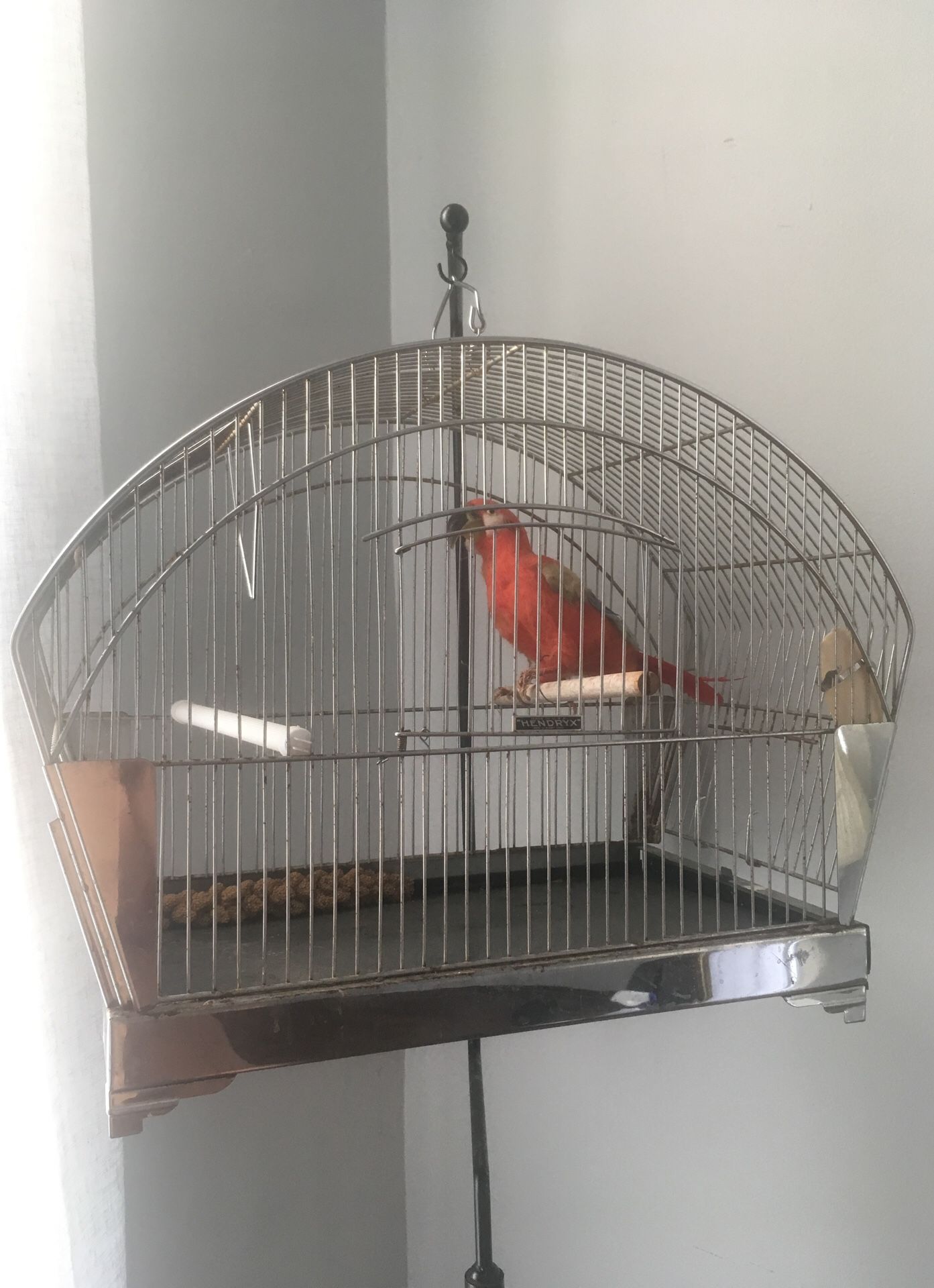 Hendryx Bird Cage w/ Metal Stand