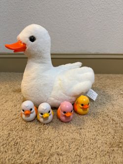 Duck toys