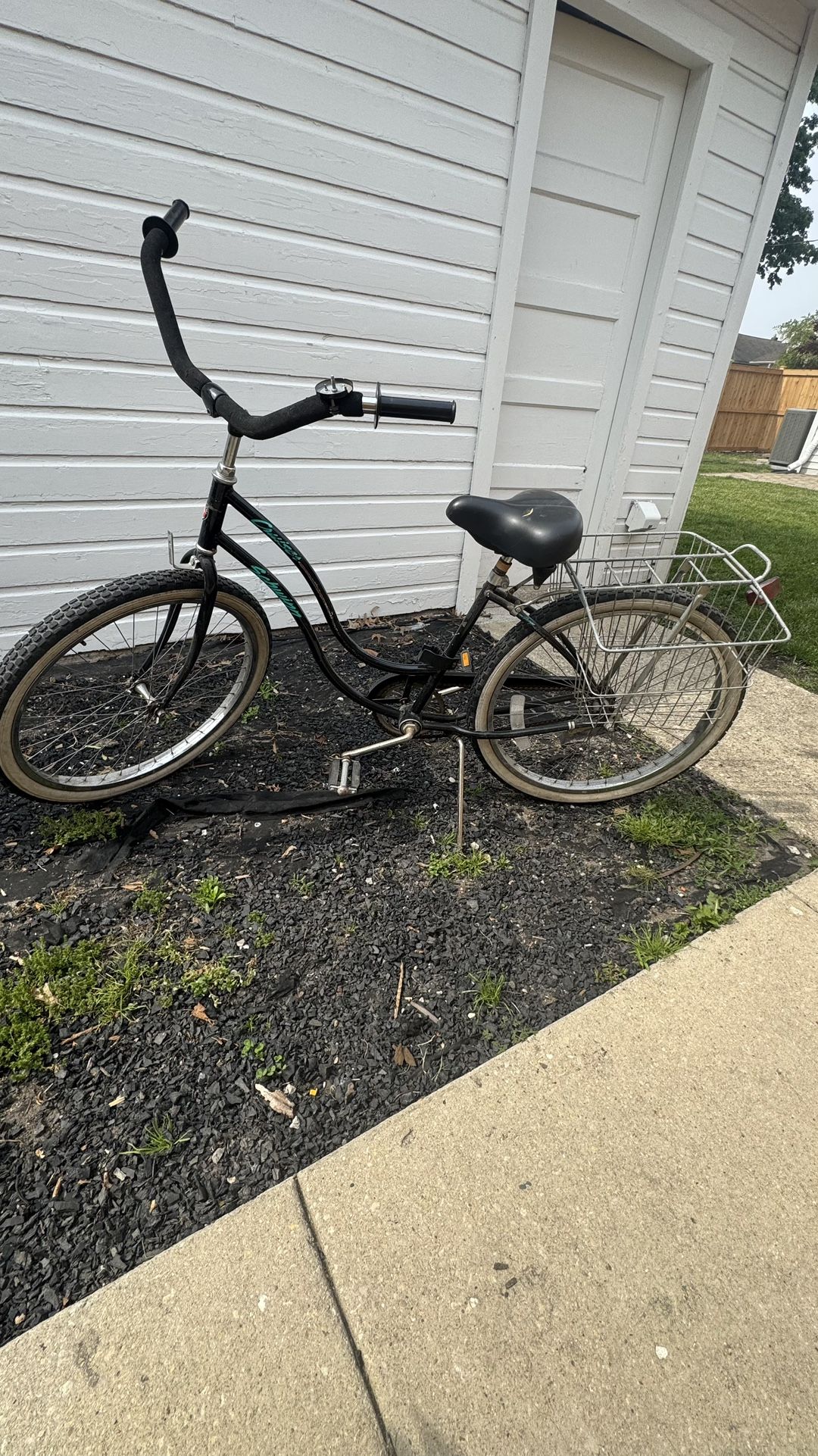 Schwinn Cruiser