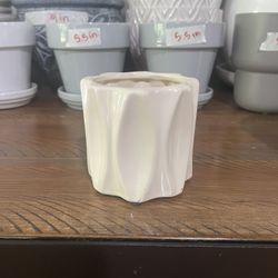 Plant Pot 